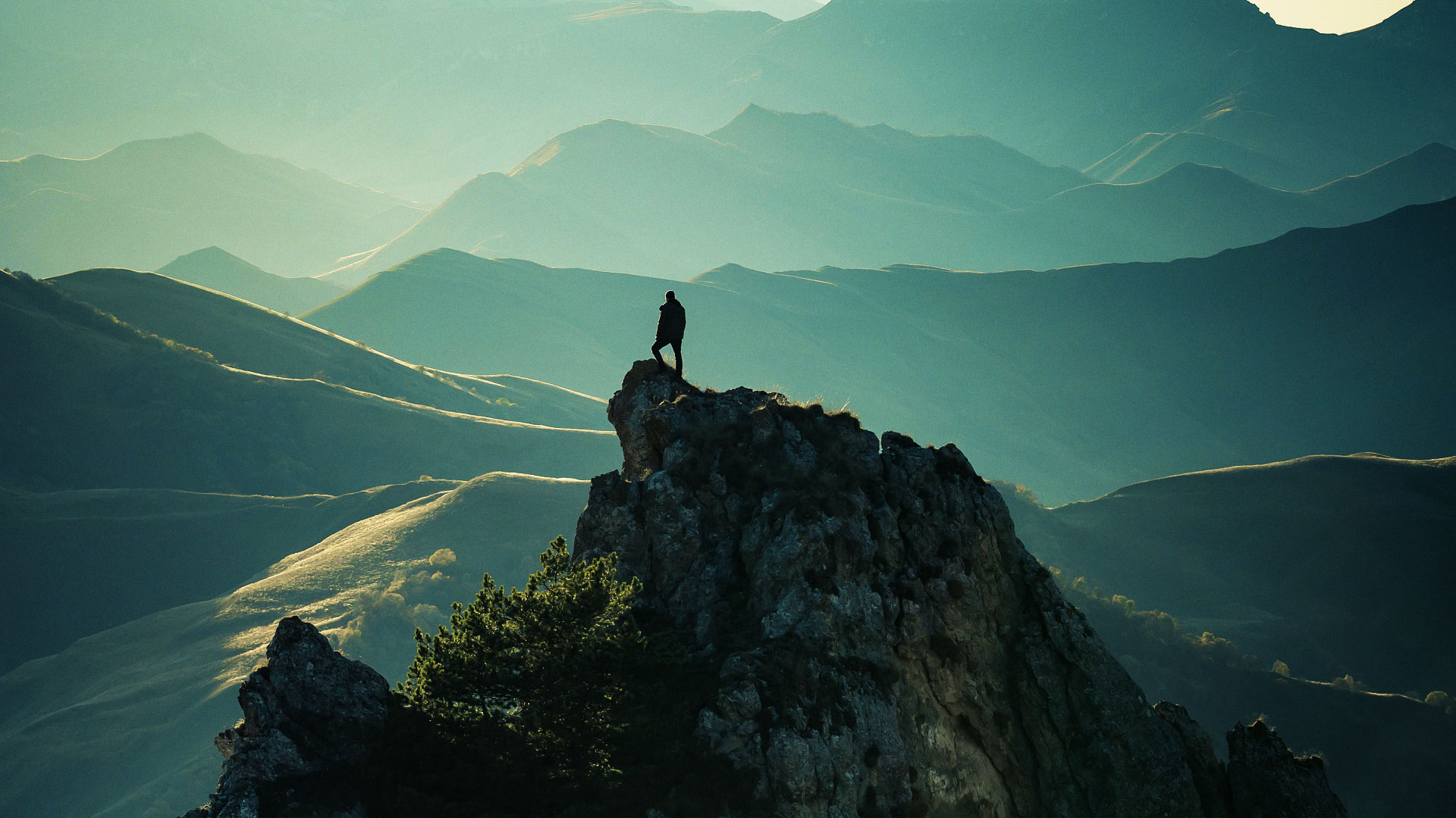与大地协调共生
